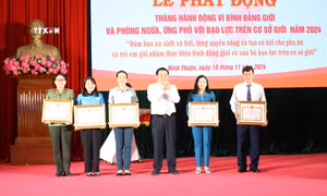 Xóa bỏ bất bình đẳng giới, chấm dứt bạo lực đối với phụ nữ và trẻ em gái
