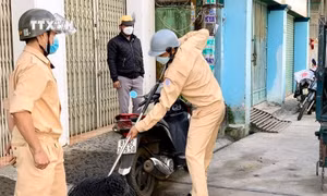 Bình Thuận ghi nhận trường hợp tử vong vì bệnh dại
