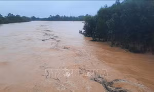 Từ ngày 9/10, học sinh bậc mầm non đến trung học cơ sở ở Hương Khê (Hà Tĩnh) được nghỉ học do mưa lũ