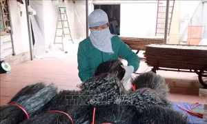Tăng sức cạnh tranh cho sản phẩm miến dong xóm Gò