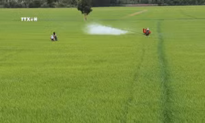 Đồng Tháp: Canh tác lúa chất lượng cao, phát thải thấp giảm chi phí sản xuất đến 30%