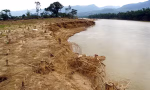 Quảng Nam: Sạt lở bờ sông Côn, xâm thực vào đất liền thôn Thái Chấn Sơn ở huyện Đại Lộc