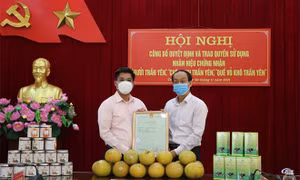Cấp giấy chứng nhận quyền sử dụng nhãn hiệu “Bưởi Trấn Yên” , “Chè xanh Trấn Yên” và “Quế vỏ khô Trấn Yên”