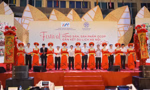 Hà Nội khai mạc chương trình Festival Nông sản, sản phẩm OCOP