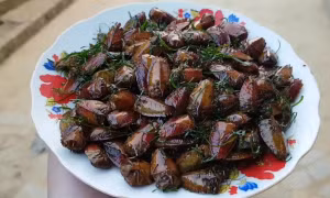 Ăn bọ xít rang, cả nhà ngộ độc