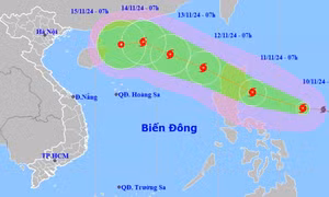 Chủ động ứng phó với diễn biến và tác động của bão đôi