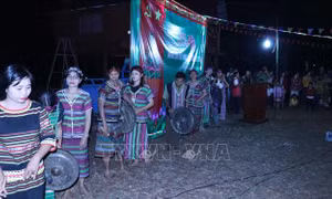 Màn biểu diễn cồng chiêng trong lễ hội mừng lúa mới của đồng bào S’tiêng ở Bình Phước. Ảnh: K 'GỬIH-TTXVN