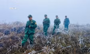 Bộ đội Biên phòng Cao Bằng - Cầu nối giúp bà con vùng biên xóa đói nghèo