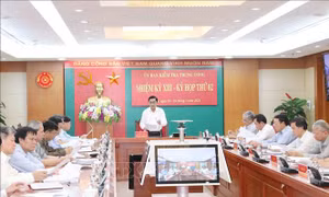 Kỳ họp thứ hai Ủy ban Kiểm tra Trung ương: Đề nghị khai trừ khỏi Đảng đối với đồng chí Tất Thành Cang