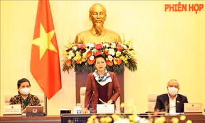 Bế mạc Phiên họp thứ 53 của Ủy ban Thường vụ Quốc hội