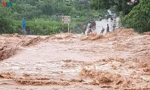Các tỉnh miền núi phía Bắc chủ động ứng phó với mưa lớn, lũ quét và sạt lở đất