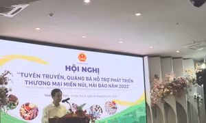 Ông Trần Duy Đông, Vụ trưởng Vụ Thị trường trong nước, Bộ Công Thương phát biểu tại hội nghị. Ảnh: BNEWS/TTXVN