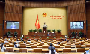 Bộ trưởng Bộ Lao động, Thương binh và Xã hội Đào Ngọc Dung phát biểu giải trình, làm rõ một số vấn đề đại biểu Quốc hội nêu. Ảnh: Phạm Kiên - TTXVN