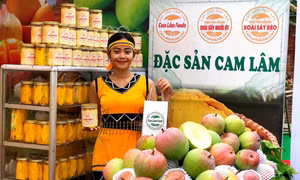 Đặc sản Cam Lâm của nhóm bạn trẻ khởi nghiệp sáng tạo ở huyện Cam Lâm không chỉ được bán qua kênh thương mại điện tử mà được xúc tiến bán hàng ở nhiều hội chợ nông sản, hàng hóa của tỉnh Khánh Hòa. Ảnh: TTXVN phát