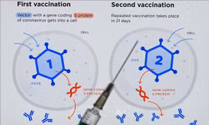 Vaccine Sputnik V phòng COVID-19 của Nga. Ảnh: AFP/TTXVN