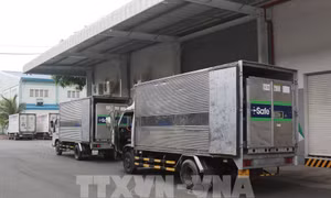 Sáng 18/6, Việt Nam ghi nhận 81 ca mắc COVID-19, trong đó có 60 ca tại Thành phố Hồ Chí Minh