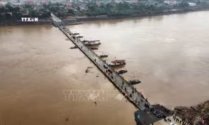 Tạm đóng cầu phao Phong Châu do nước sông Hồng lên cao