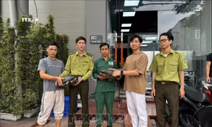 Vườn quốc gia Cúc Phương tiếp nhận nhiều cá thể động vật nguy cấp, quý hiếm