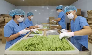 Phát huy thế mạnh kinh tế tập thể (Bài 1)