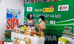 Hà Nội khai mạc phiên chợ đêm trên mây số thứ 5 