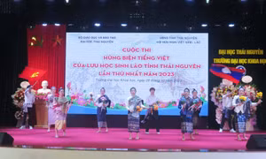Tiết mục nghệ thuật tại chương trình. Ảnh: Quân Trang-TTXVN