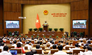 Thông cáo báo chí số 15, Kỳ họp thứ 7, Quốc hội khóa XV