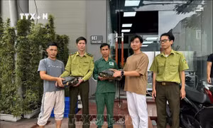 Vườn quốc gia Cúc Phương tiếp nhận nhiều cá thể động vật nguy cấp, quý hiếm