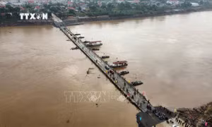 Tạm đóng cầu phao Phong Châu do nước sông Hồng lên cao