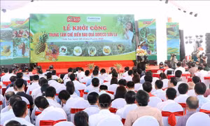 Khởi công Trung tâm chế biến rau quả Doveco Sơn La