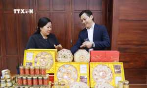 Đắk Lắk gỡ khó để phát triển bền vững ngành hàng yến sào