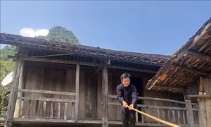 Nhà sàn ở Bản Giuồng, xã Tiên Thành (Quảng Hòa, Cao Bằng). Ảnh: Chu Hiệu – TTXVN
