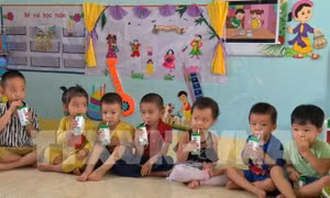 Học sinh trường mầm non xã Xuân Long, huyện miền núi Đồng Xuân, uống sữa học đường. Ảnh: Xuân Triệu - TTXVN 