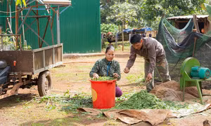 Dự án được triển khai tại Gia Lai. Nguồn: congthuong.vn