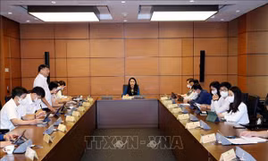 Kỳ họp thứ nhất, Quốc hội khóa XV: Nông thôn mới phải gắn với quá trình đô thị hóa để phát triển nhanh, bền vững