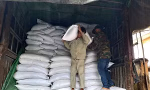 Xuất cấp gạo cho 7 tỉnh dịp Tết Nguyên đán Quý Mão và giáp hạt năm 2023