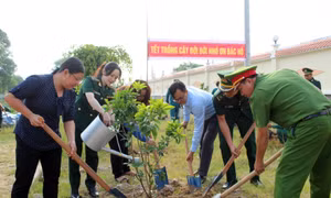 Tết trồng cây – nhân lên nét đẹp độc đáo đầu Xuân