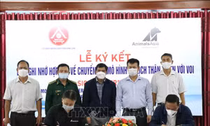 Hợp tác triển khai mô hình du lịch sinh thái thân thiện với voi tại Đắk Lắk