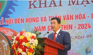 Miễn nhiệm chức vụ Phó Chủ tịch UBND tỉnh Phú Thọ