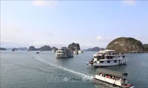 Quảng Ninh miễn, giảm phí tham quan du lịch đến hết năm 2020