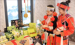 Trưng bày các sản phẩm nông nghiệp của Hà Giang được đông đảo du khách trong và ngoài nước ưa chuộng. Ảnh: Minh Tâm-TTXVN