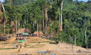 Trạm bảo vệ Vườn Quốc gia Sông Thanh. Nguồn: baotainguyenmoitruong.vn