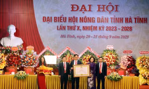 Ông Ngô Văn Huỳnh được bầu làm Chủ tịch Hội Nông dân tỉnh Hà Tĩnh
