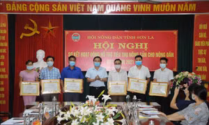 Hỗ trợ tiêu thụ nông sản cho nông dân Sơn La