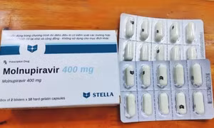 Dịch COVID-19: Chỉ sử dụng thuốc Molnupiravir khi có đơn của bác sĩ