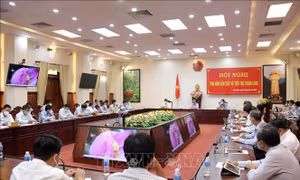 Tìm hướng sản xuất và tiêu thụ thanh long bền vững