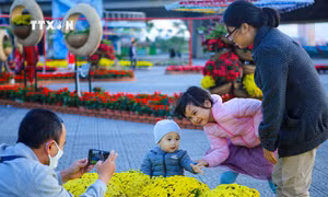 Ngày Gia đình Việt Nam 28/6: Đạo hiếu - tinh hoa văn hóa gia đình Việt