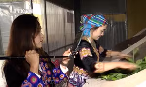 "Bí quyết" của một tỉnh miền núi đứng trong tốp đầu cả nước về chuyển đổi số