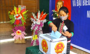Cử tri xã miền núi, biên giới Mai Sơn, huyện Tương Dương, Nghệ An bỏ phiếu bầu đại biểu Quốc hội khóa XV và HĐND các cấp nhiệm kỳ 2021 - 2026. Ảnh: Tá Chuyên – TTXVN