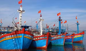 Ngư dân Bình Định gặp khó vì bảo hiểm tàu cá