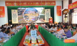 Giải pháp phát triển du lịch Tiền Giang bền vững, hiệu quả